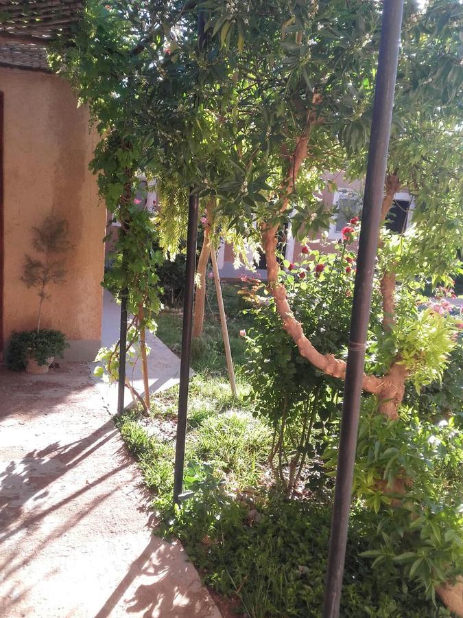 Auberge Toda Ait Igad Экстерьер фото