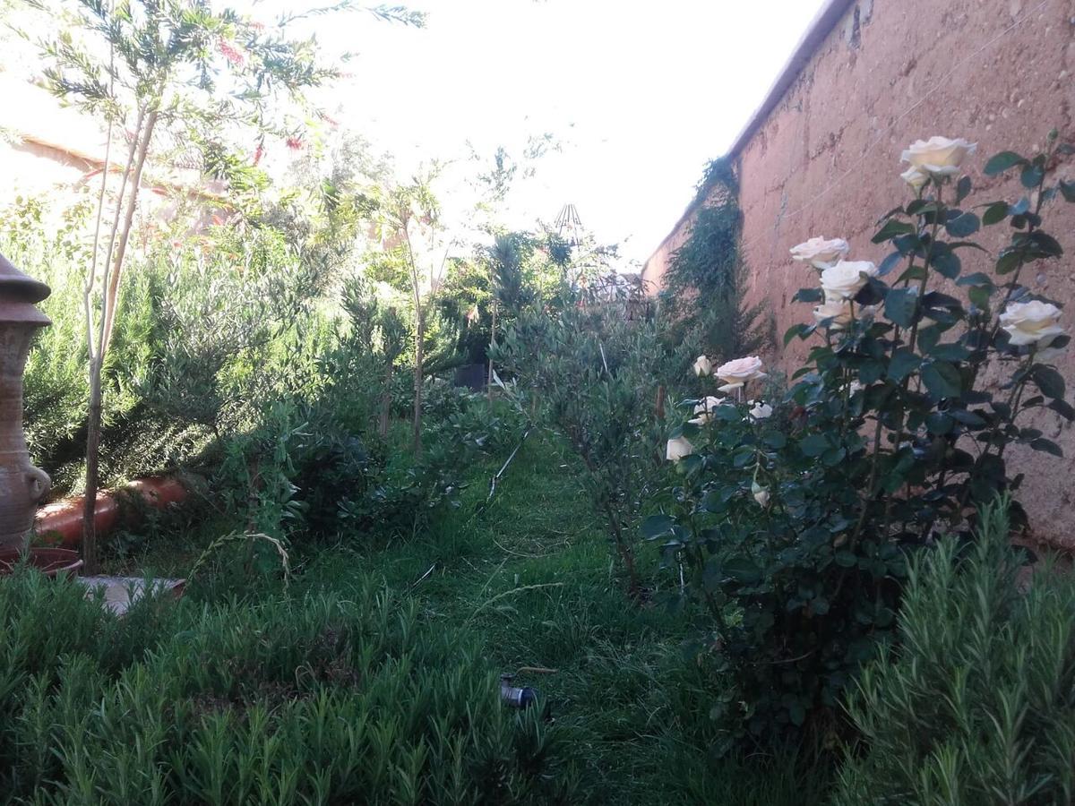 Auberge Toda Ait Igad Экстерьер фото
